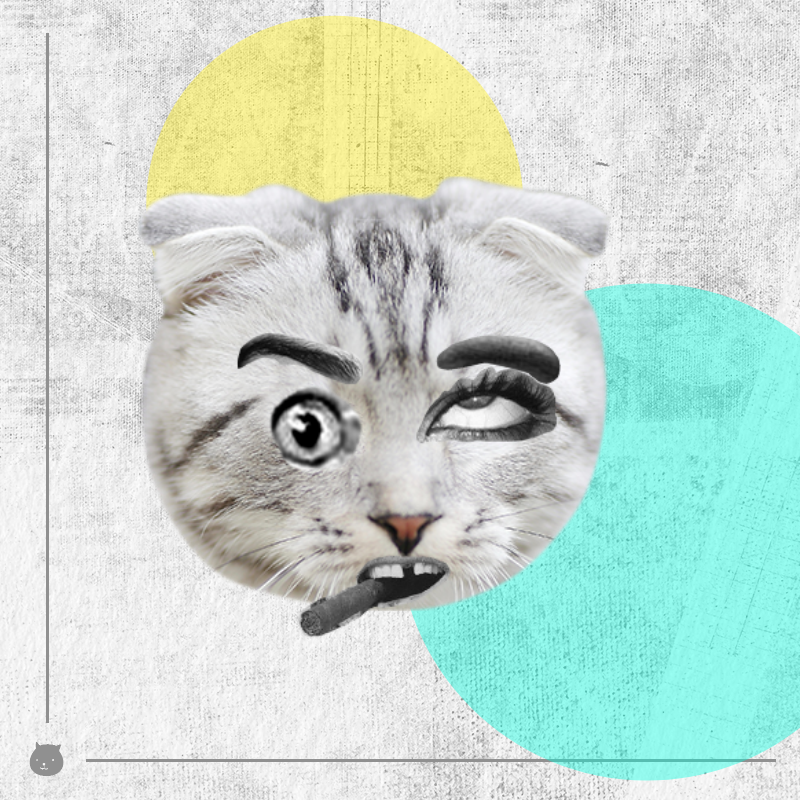 Kittenstein #3 static token preview