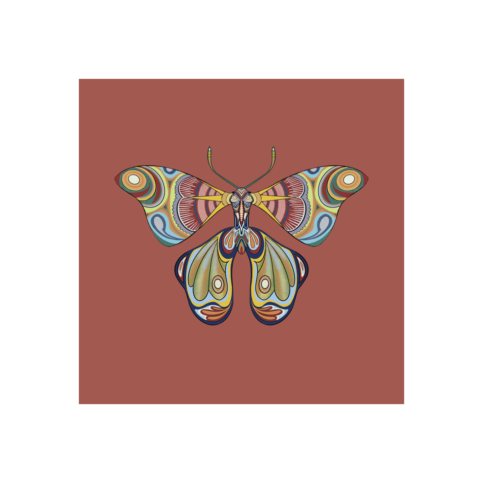 The Moth Experiment #17 static token preview