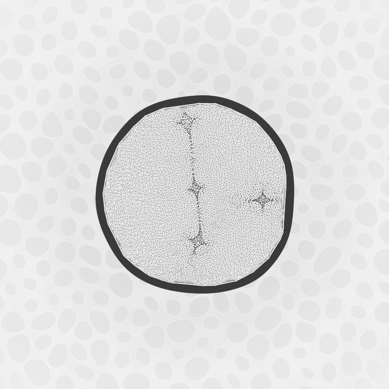 Protista #4 static token preview