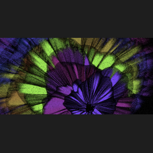 Chameleon project preview