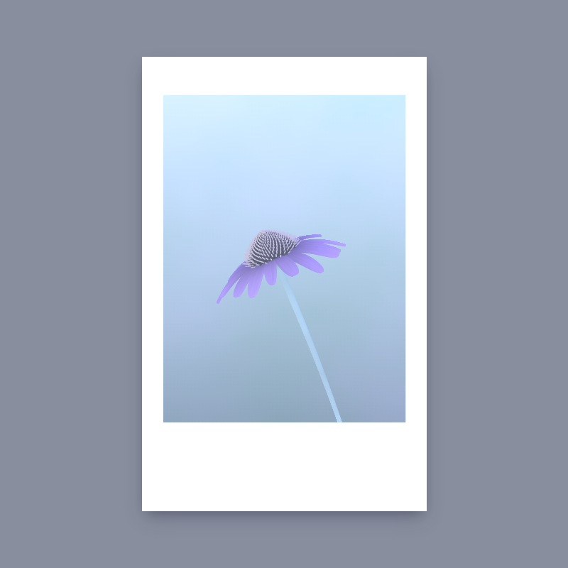 Ode to Summer #23 static token preview