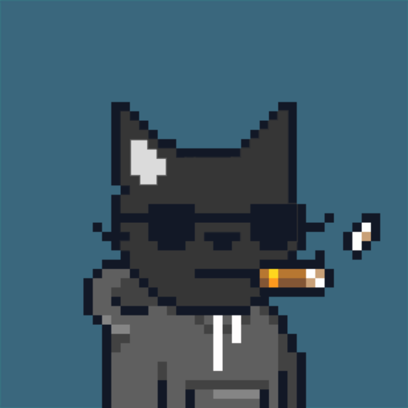 MEOWPIX #13 static token preview