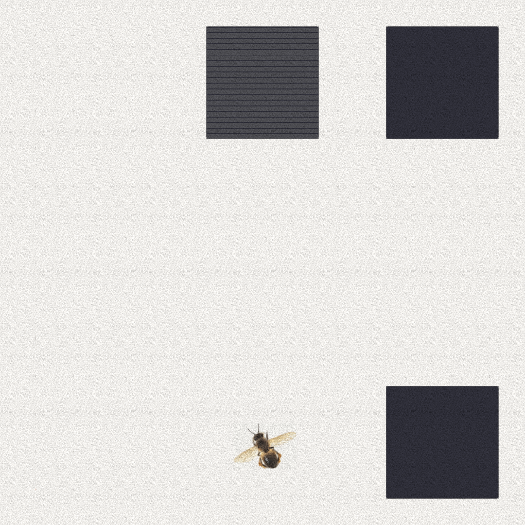 Bee #27 static token preview