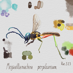 Randomic Brazilian Insects 1 project preview