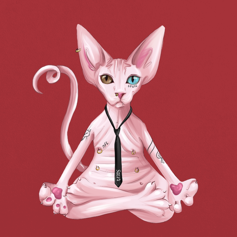 YogaCat #2 static token preview
