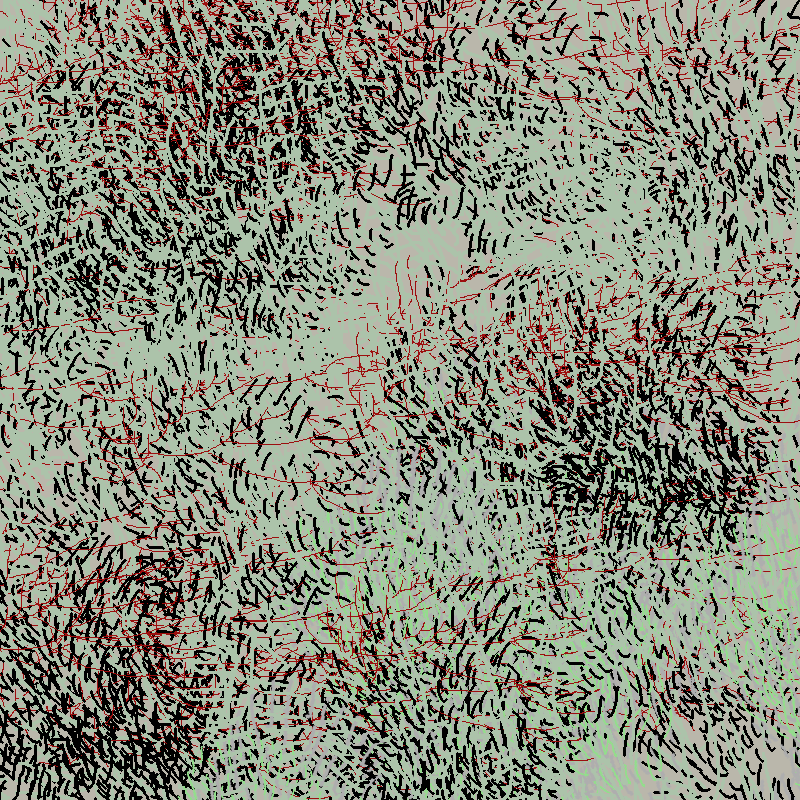 a bird worked on my painting #12 static token preview