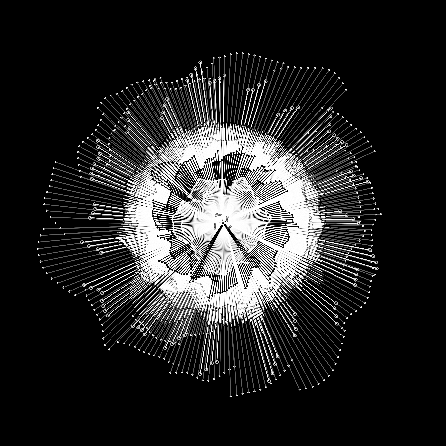 Camellia #21 static token preview