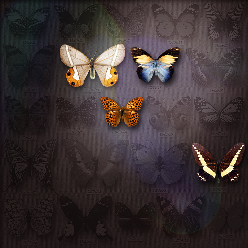 Save Butterfly World #16 static token preview