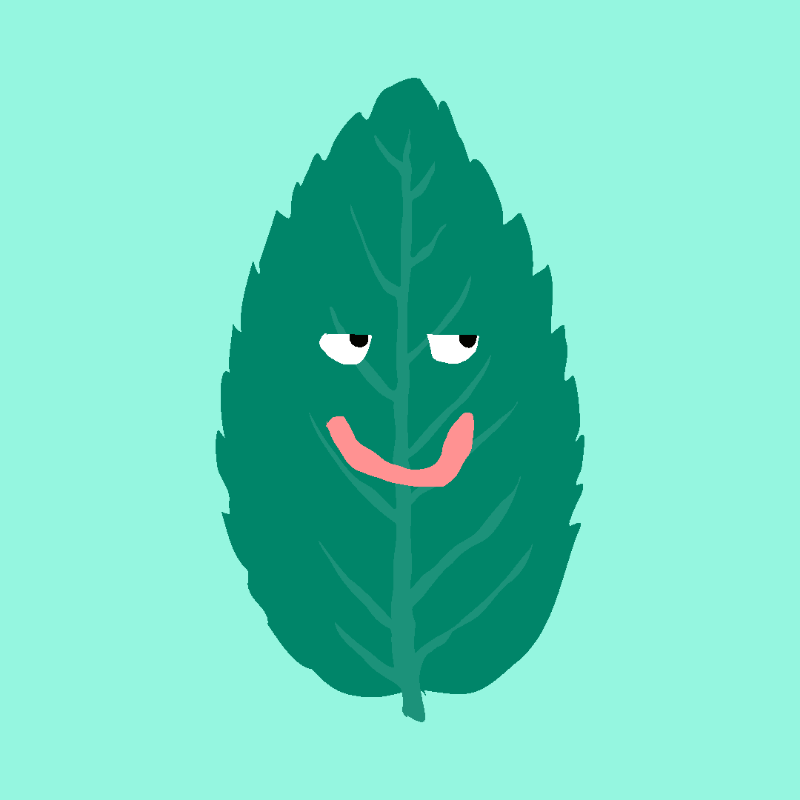 FREE MINT ! #14 static token preview