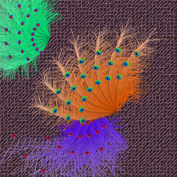 Oriental Peafowl Impression #18 static token preview