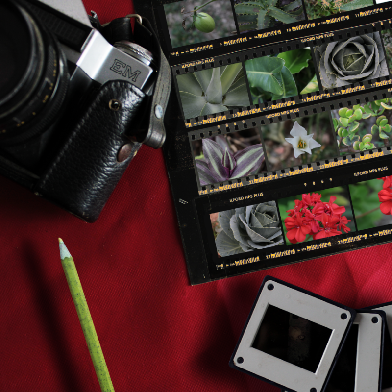 Contact Sheet #17 static token preview