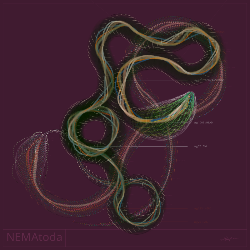 NEMA #23 static token preview