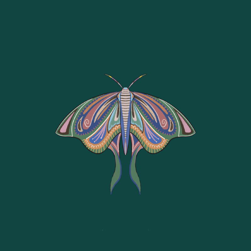 The Moth Experiment 2.0 P2 #17 static token preview