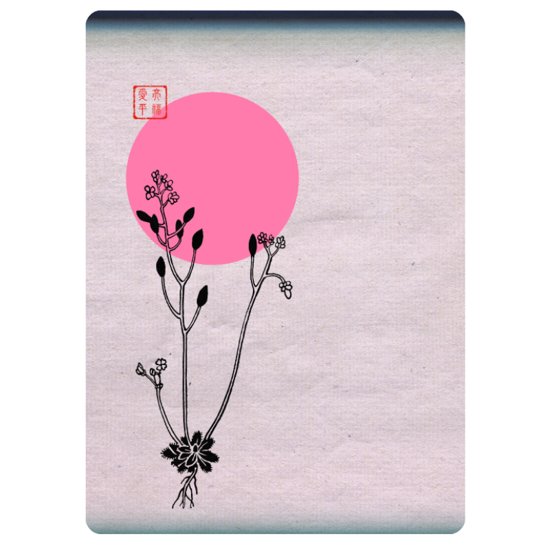 Zen flower card #15 static token preview