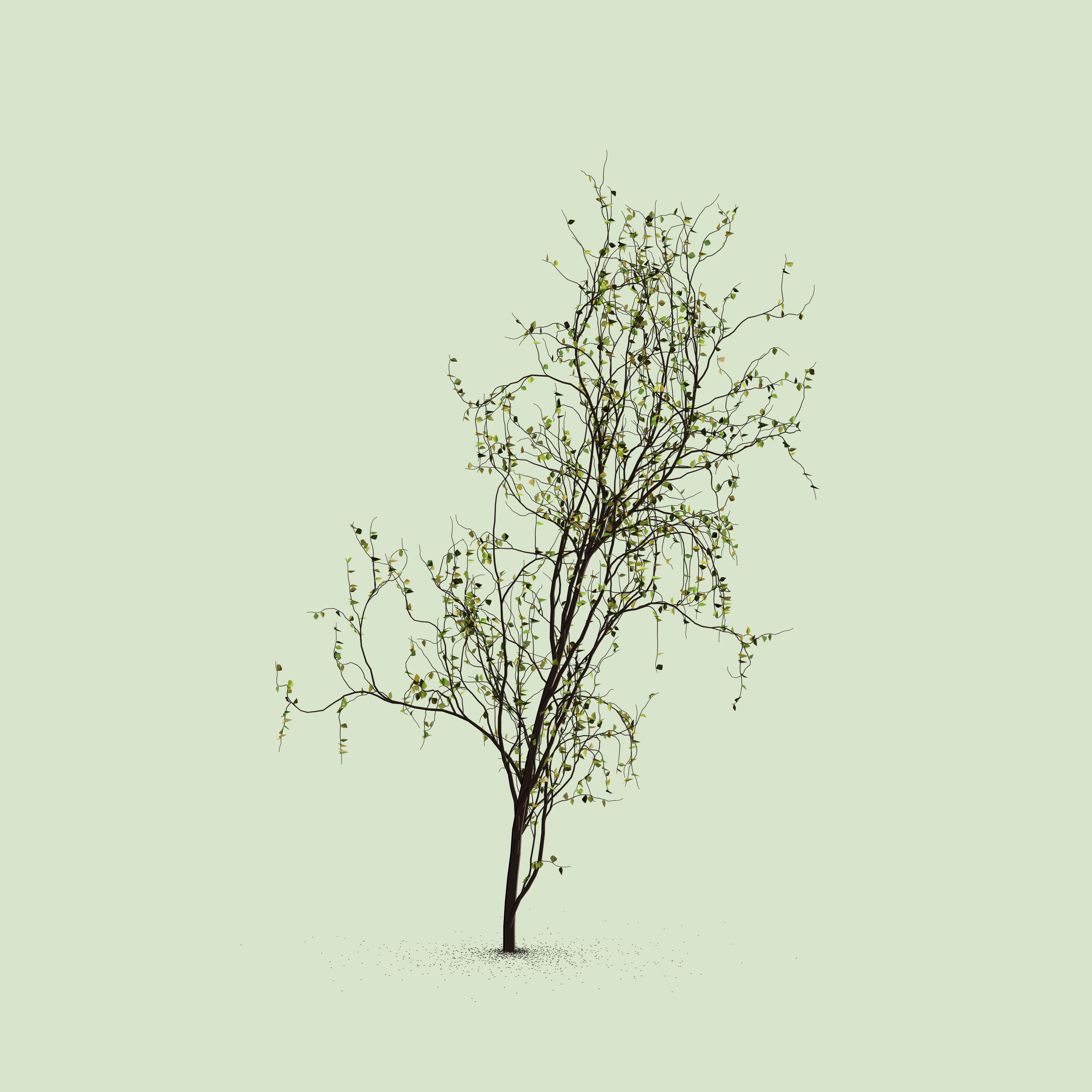 Little Trees #8 static token preview
