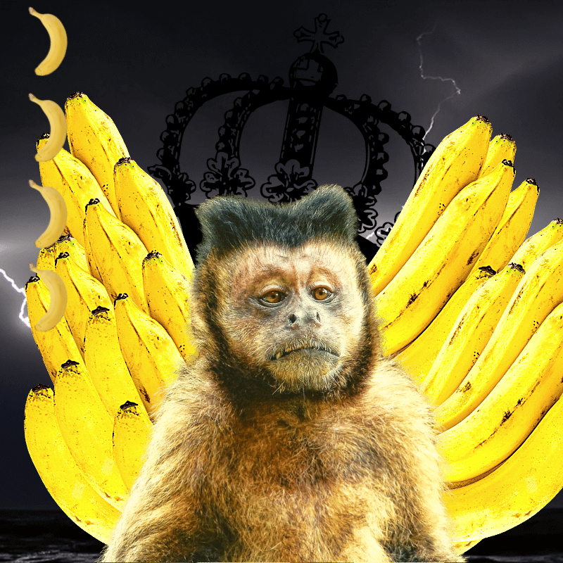 Banana gods #20 static token preview