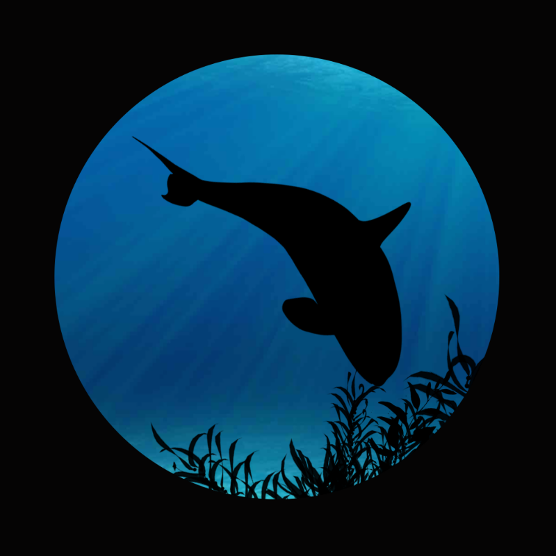 Whale #4 static token preview