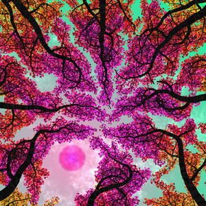 Tree Skyness project preview