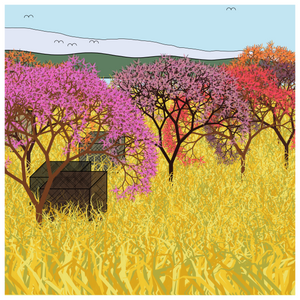 Cube Forest project preview