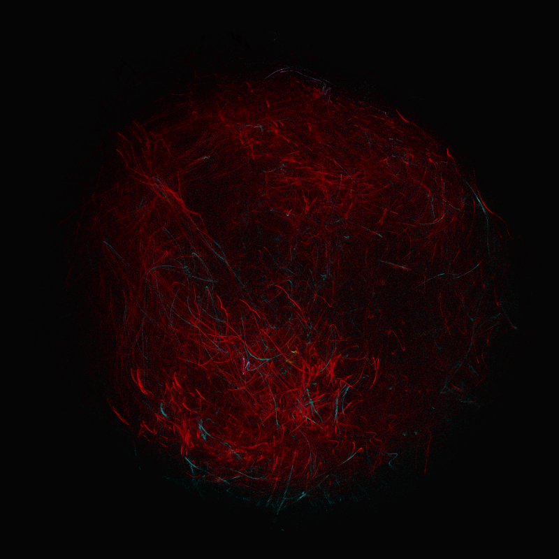 balls in vector fields #15 static token preview
