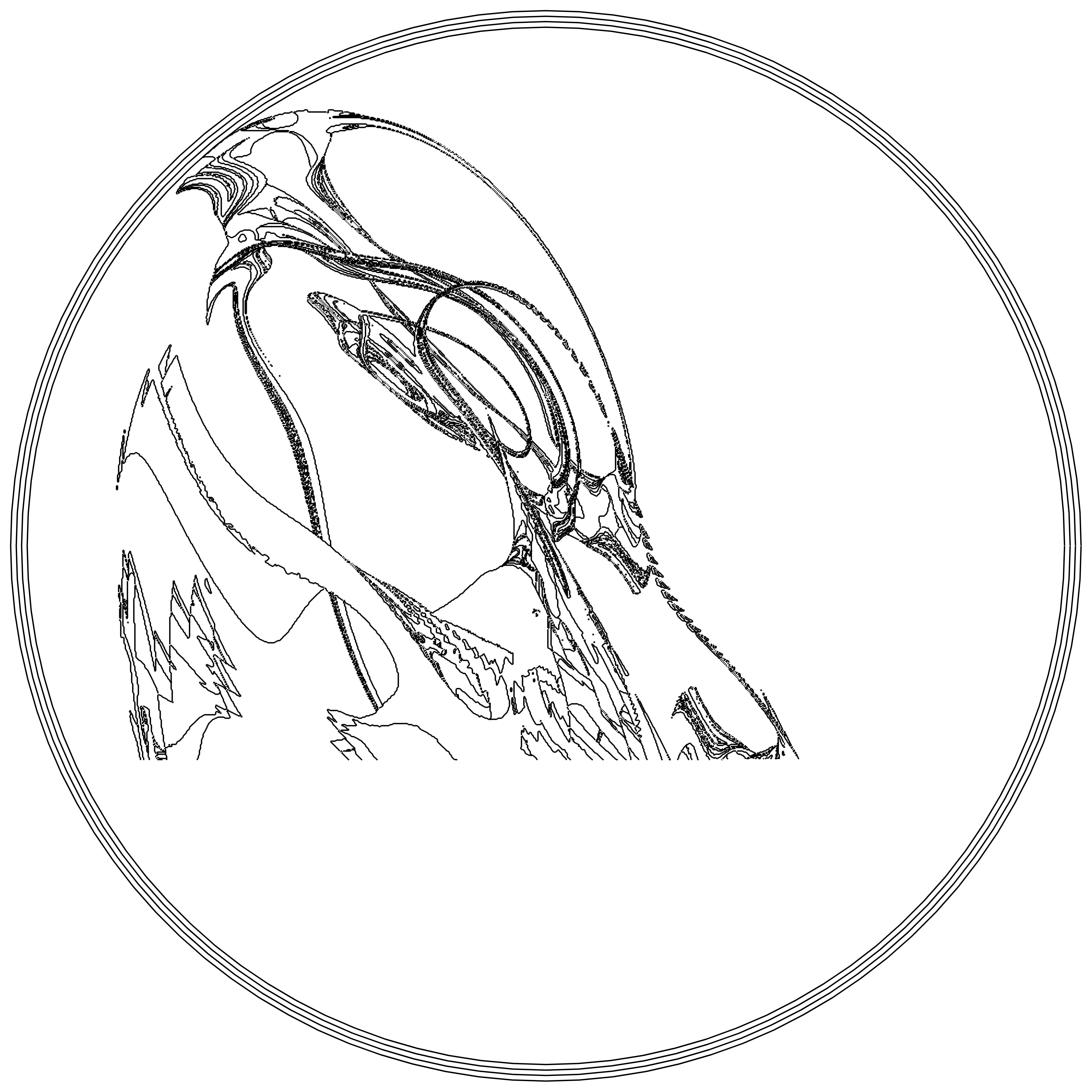 LL21 Fractal Contour #19 static token preview