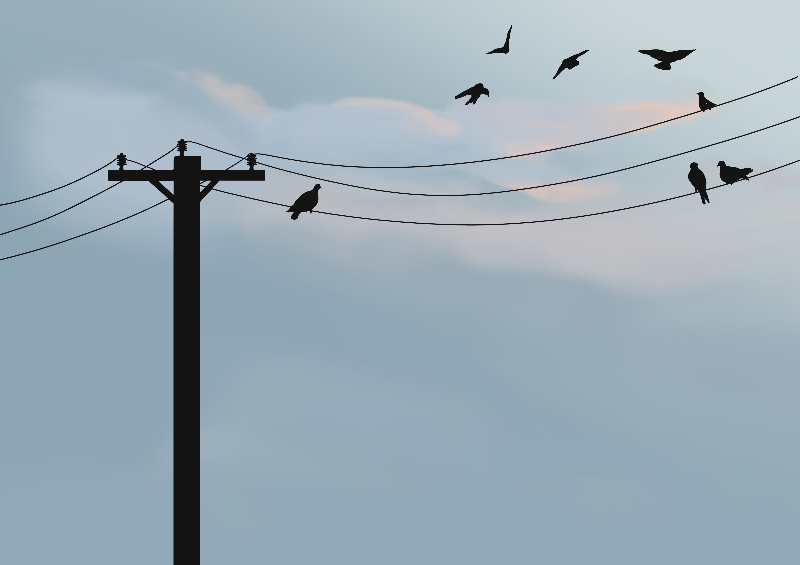 Online Birds #16 static token preview