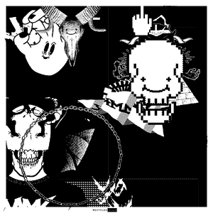 Recycled Chaos project preview