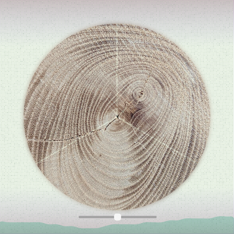 Tree ring waltz #2 static token preview