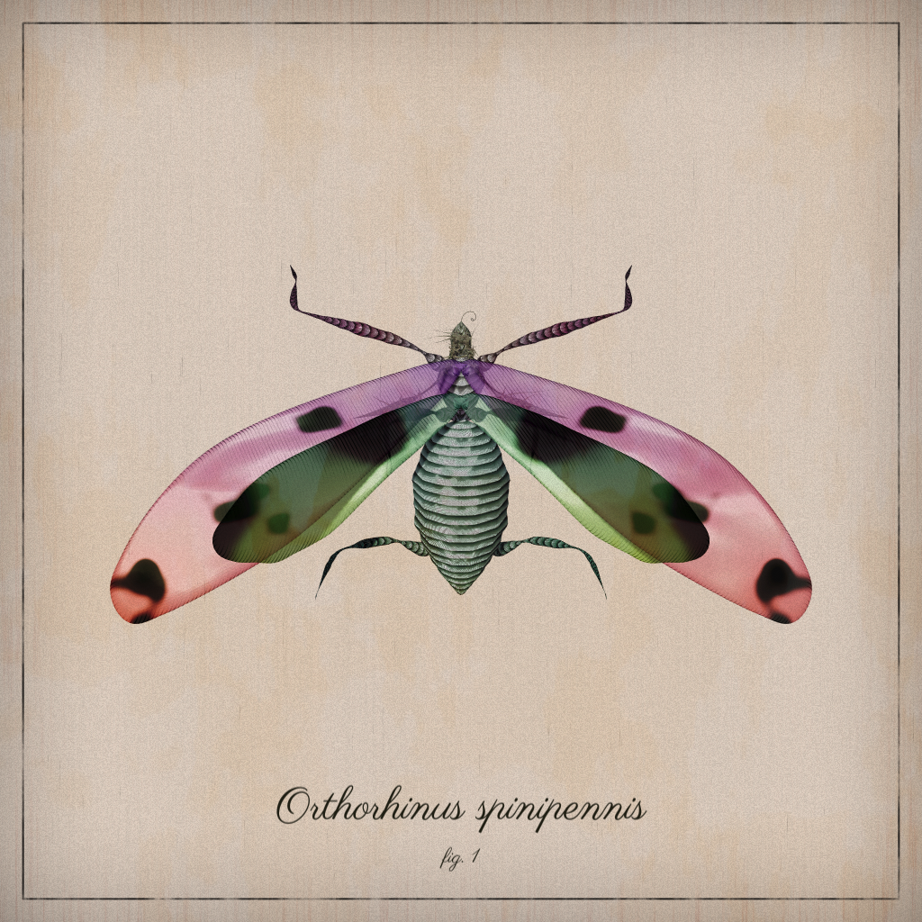 ProcGen Entomology #10 static token preview