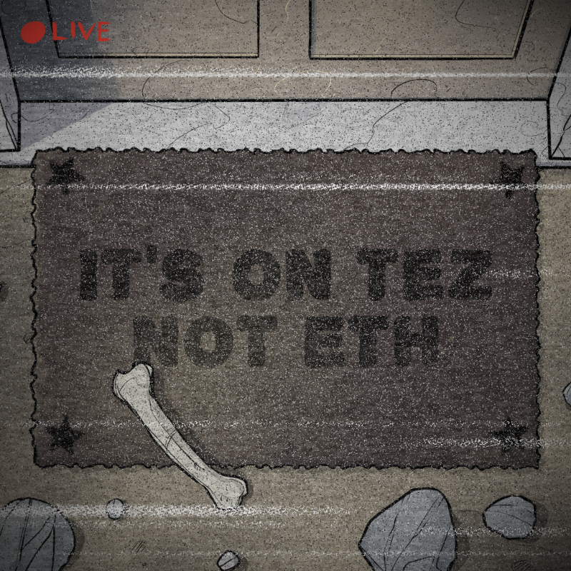 NOT A RUG #271 static token preview