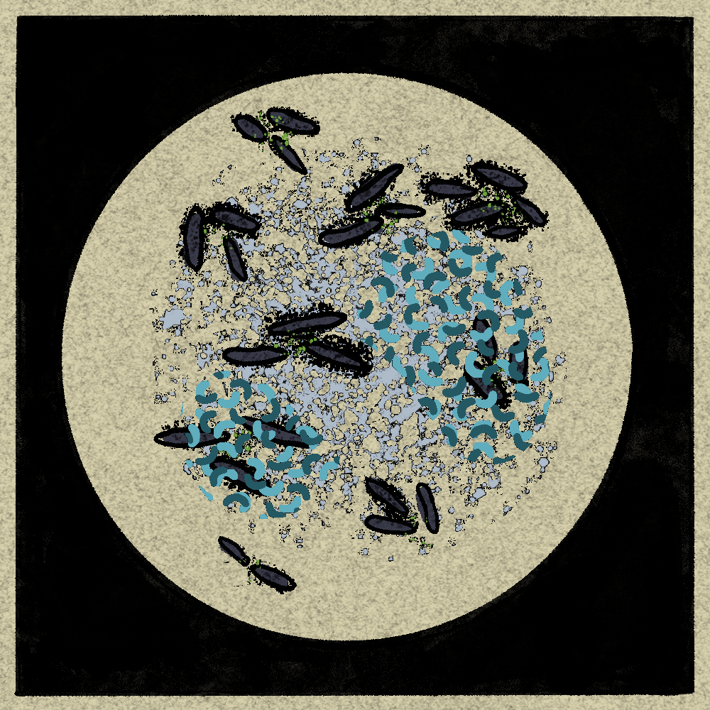 Microbes #16 static token preview