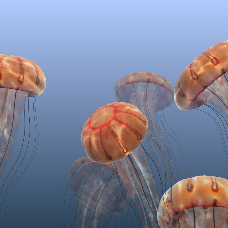 Jellyfish #14 static token preview