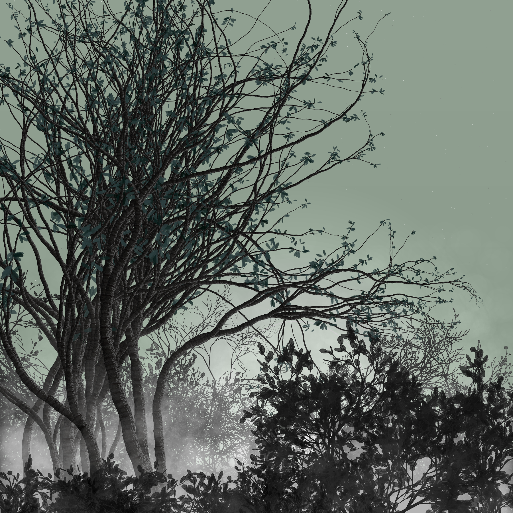 Morning Mist #4 static token preview