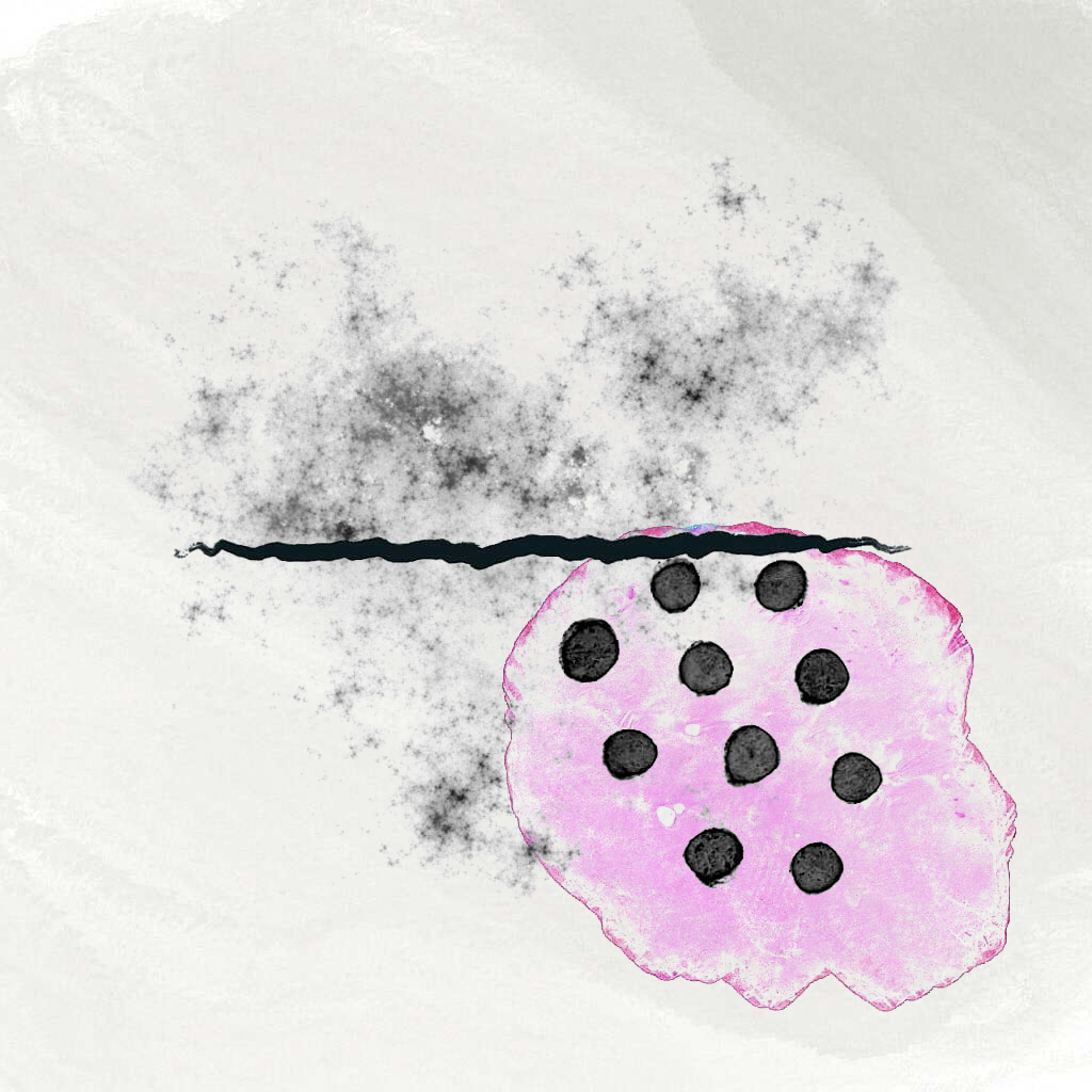 Strokes on Tezos by gmi.sh #5 static token preview