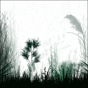 NaturalGarden "Subtil And Unique Colour" project preview