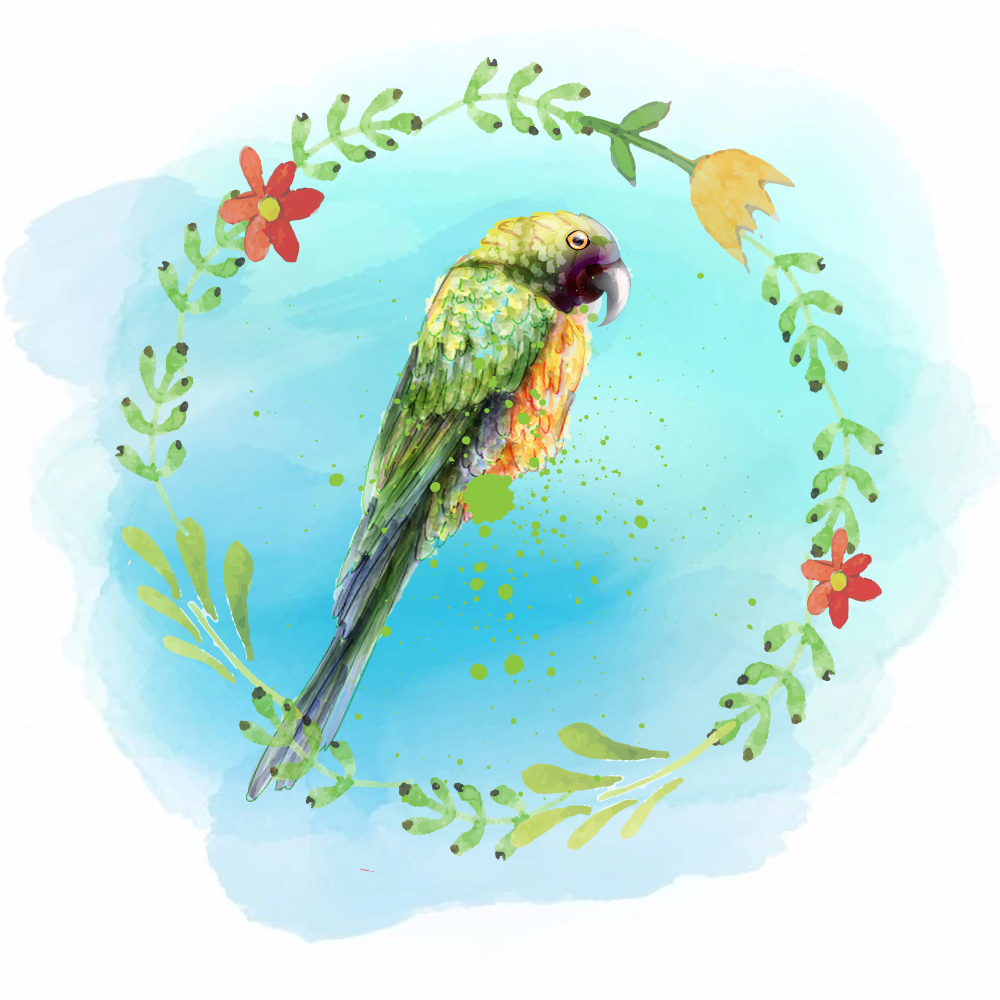 Random Tropical Birds #15 static token preview