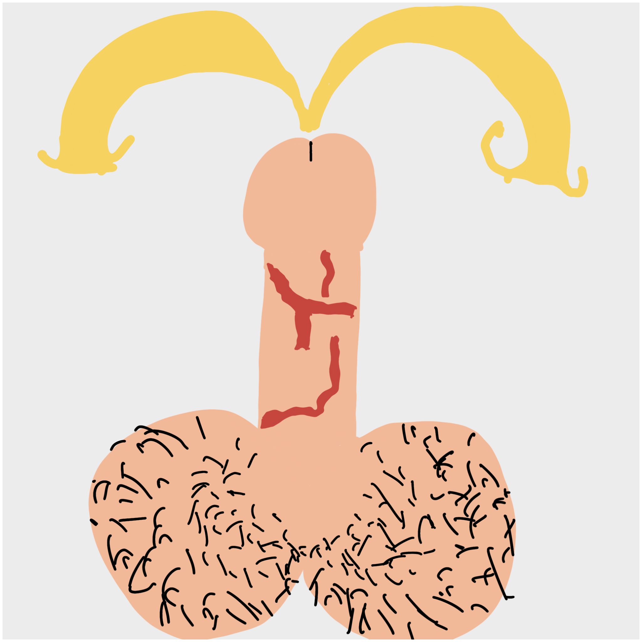 Dickgenerative Art #4 static token preview