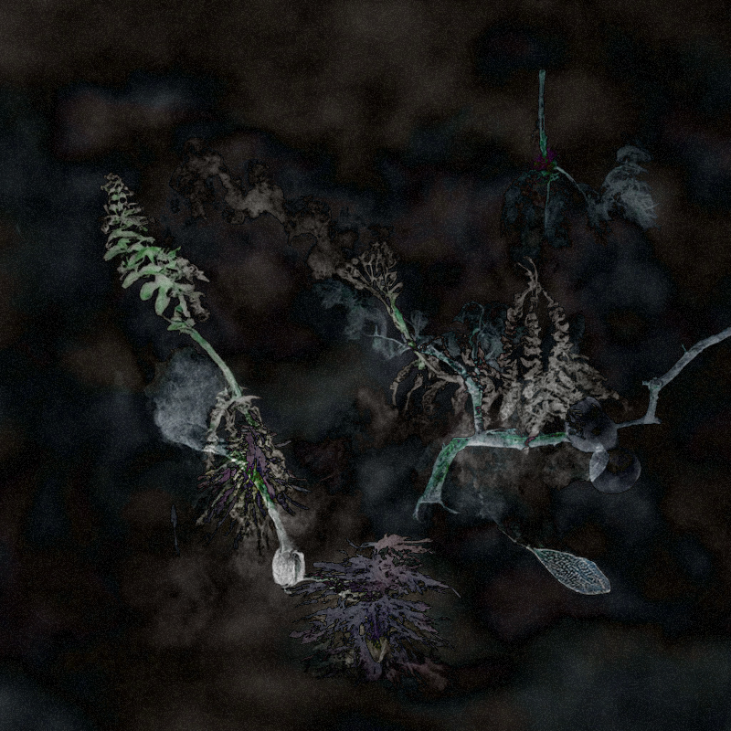 Hauntological Herbarium #54 static token preview