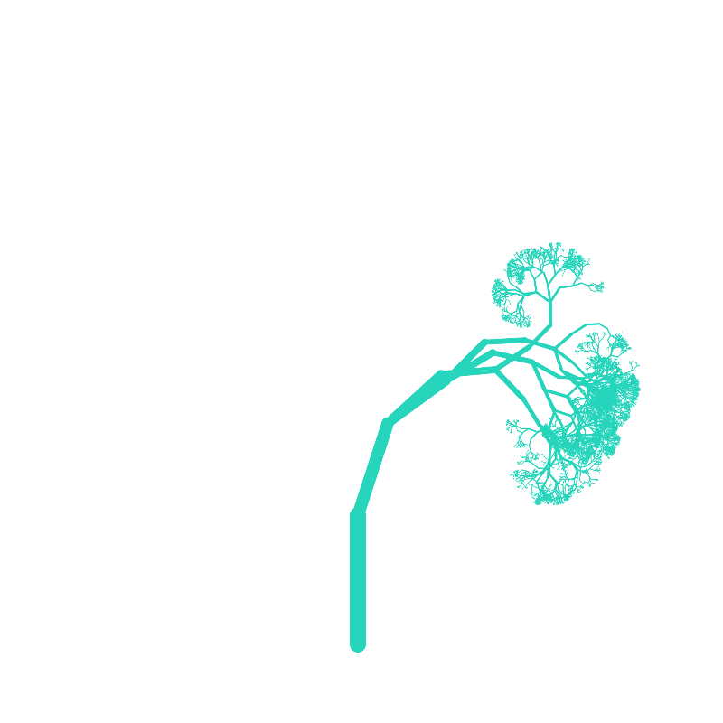 Pinus Pinea #1 static token preview