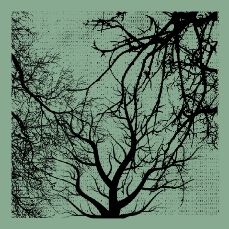 Forest of Shadows #15 static token preview