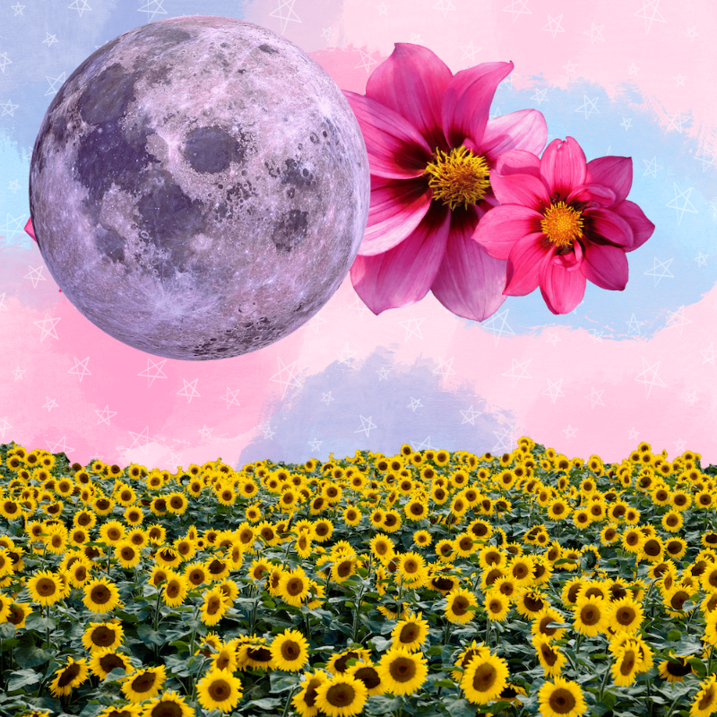 Pink Moon #15 static token preview