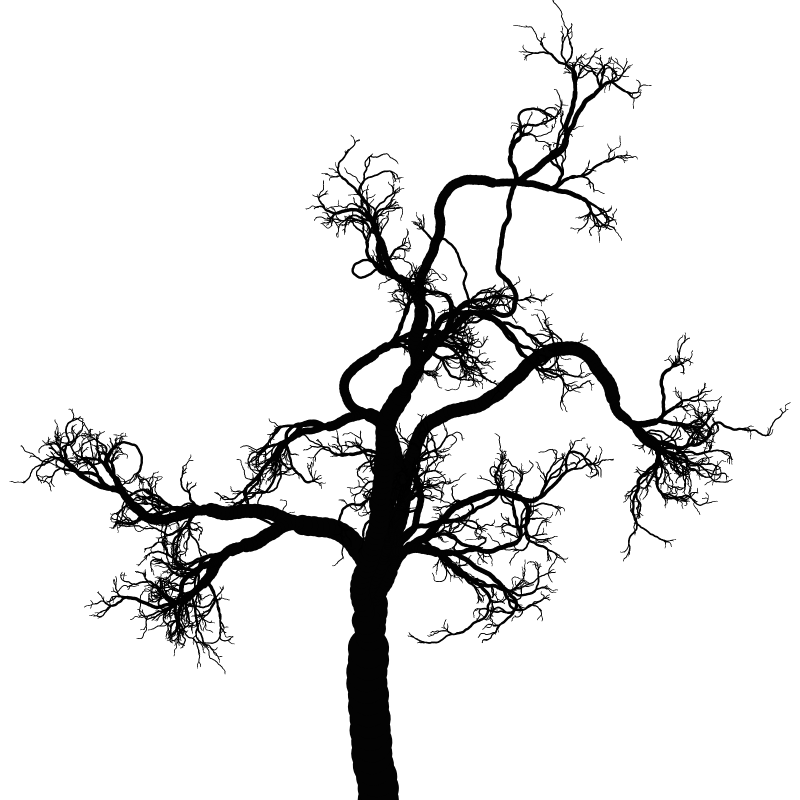Tree 01 #13 static token preview