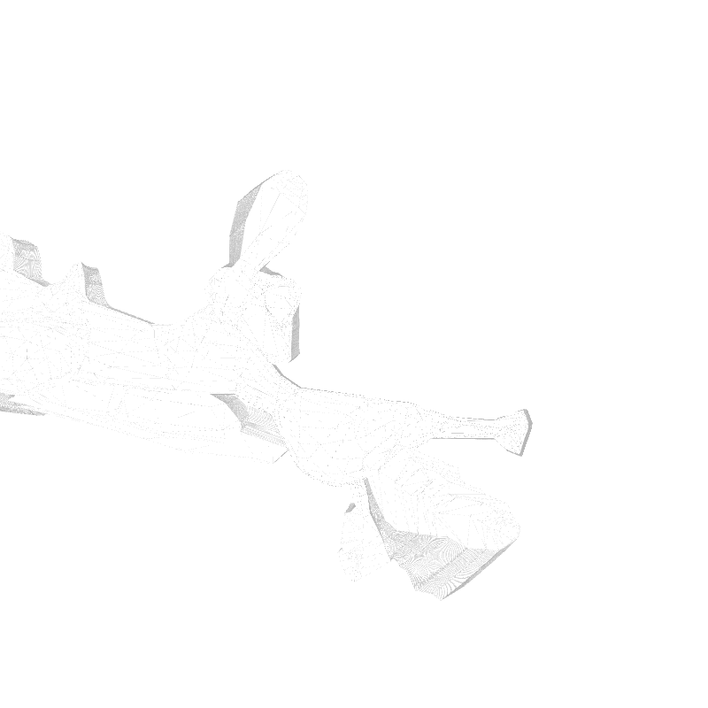 traces #13 static token preview