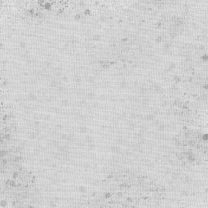 Alberto Tomba #7 static token preview