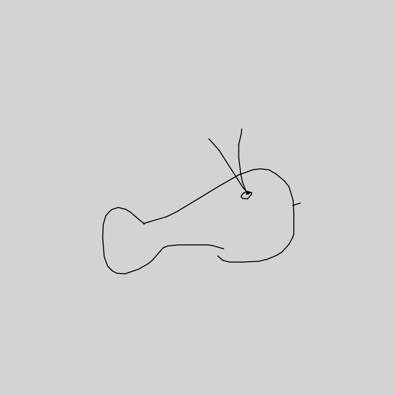NeuralWhale #8 static token preview