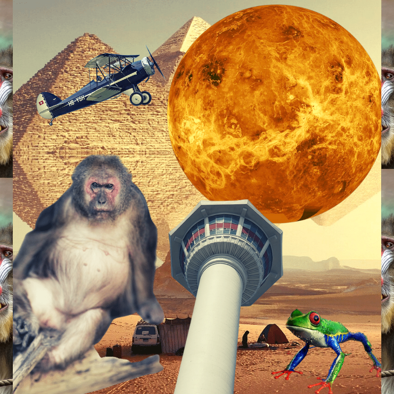 Banana & Pepe on mysterious trips #14 static token preview