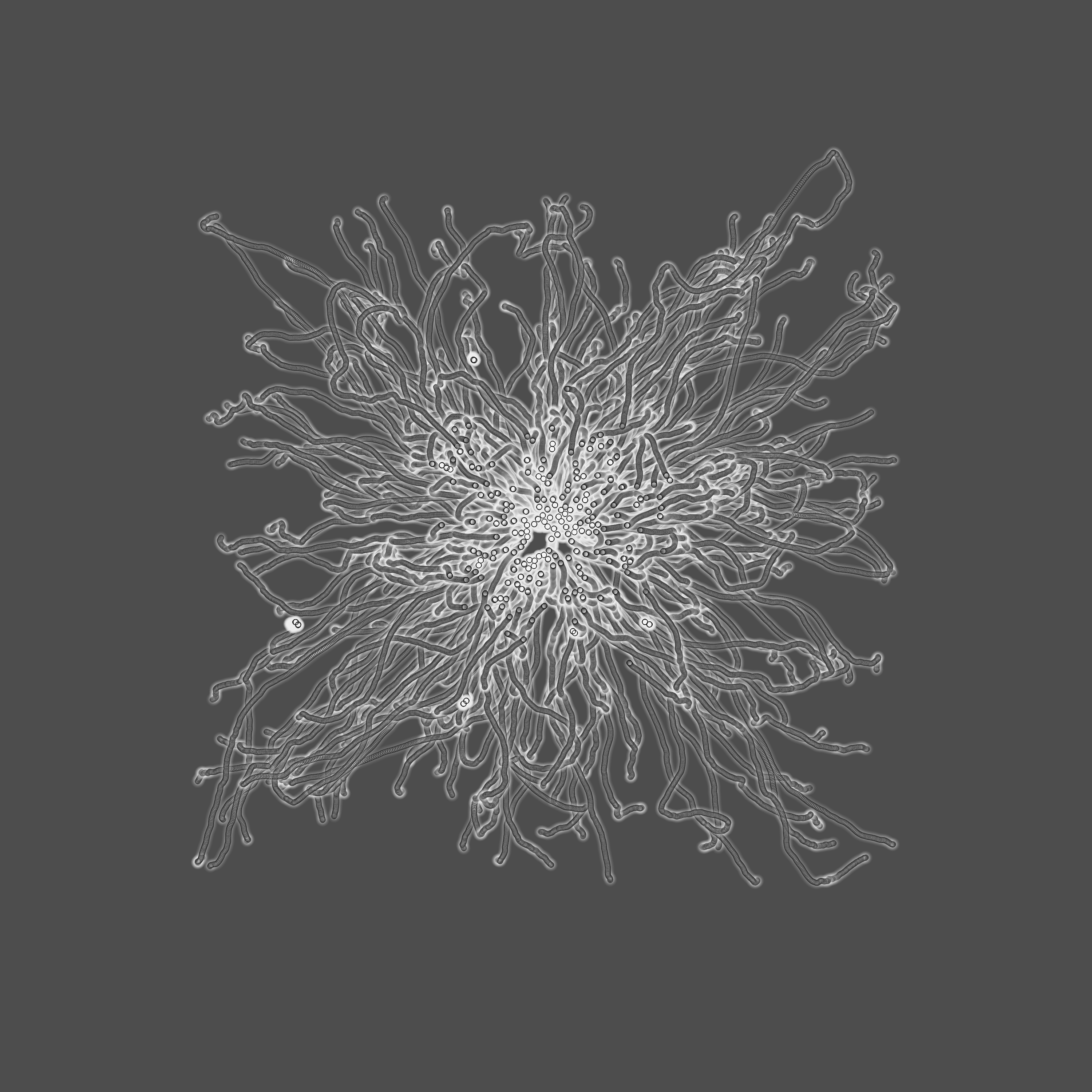grey fungi wisdom #1 static token preview