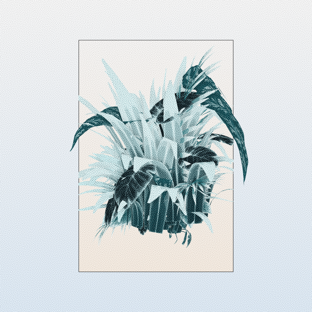 Botany #19 static token preview