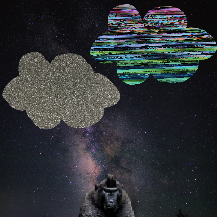 Anxious monkeys #9 static token preview