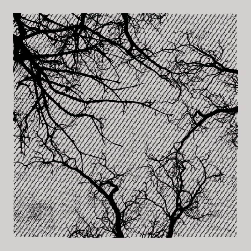 Forest of Shadows HD #15 static token preview